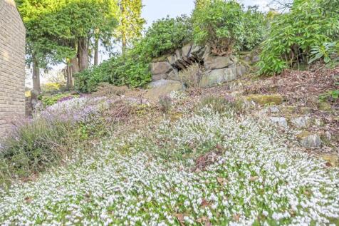 Garden.jpg