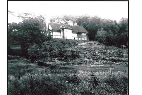 Wayside B &amp; W.jpg