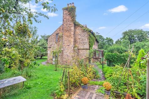 Garden 4.jpg