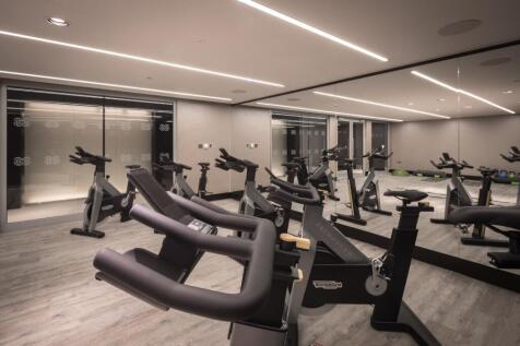 A sleek, modern gym equipped with multiple stat...