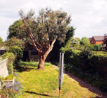 A beautifully maintained garden featuring a lar...