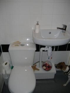 A well-maintained single toilet featuring moder...