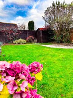 A beautifully maintained garden featuring vibra...