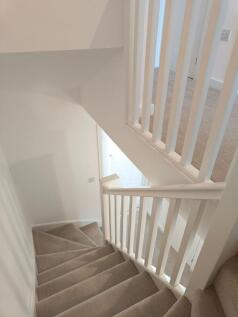 Bright and clean carpeted staircase with white ...