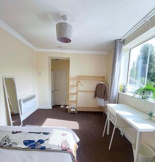 Bright and airy single bedroom featuring a larg...