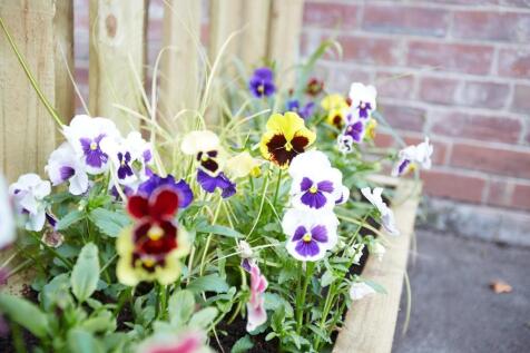 A charming garden bed brimming with colorful pa...