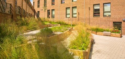 A spacious and sunny garden area with raised pl...
