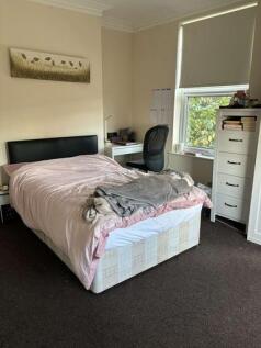 A well-lit bedroom featuring a double bed, a fi...