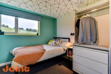 Bright and modern bedroom featuring a single be...