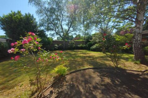 Sunny private rear garden with a lawn, mature t...