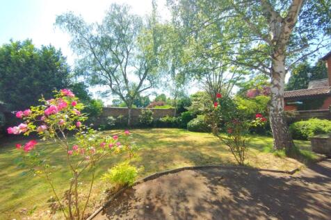 Sunny, landscaped rear garden with mature trees...