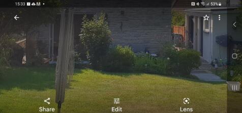 A beautifully maintained garden area showcasing...