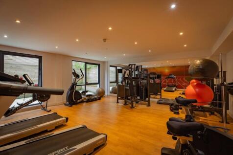 Well-equipped private gym with treadmills, exer...