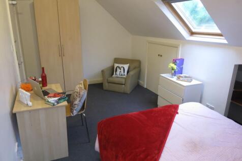 Bright attic bedroom with a skylight, comfy dou...