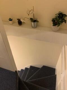 Carpeted spiral staircase with decorative plant...