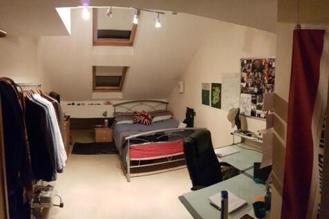 Bright and cozy master bedroom with skylight wi...