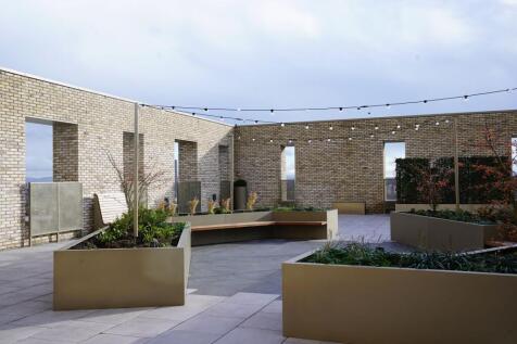 A modern rooftop garden featuring sleek planter...