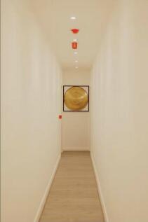 A clean and minimalist hallway with smooth wood...