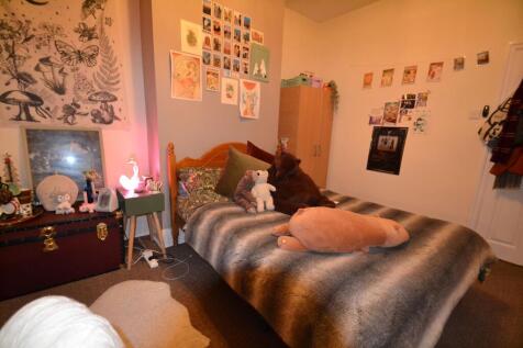 Cozy bedroom featuring a neatly made bed decora...
