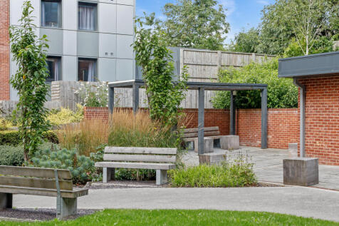 Roof Garden