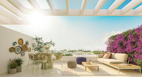 Rooftop terrace