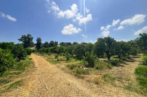 Land