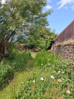 Wild Flower Garden
