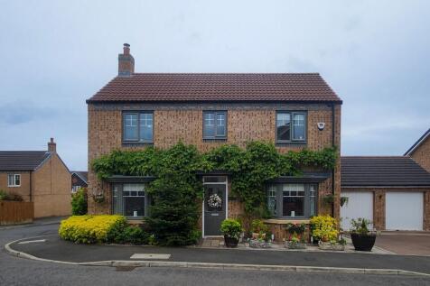 Property Image 41