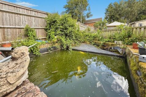 Pond