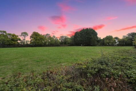 Field views
