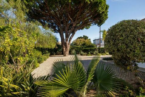 Side Garden