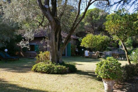 Property Image 46