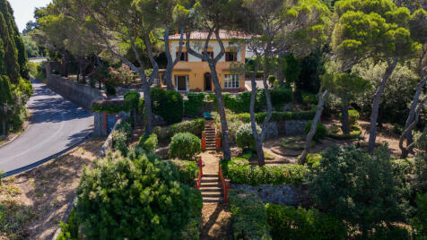 Property Image 29