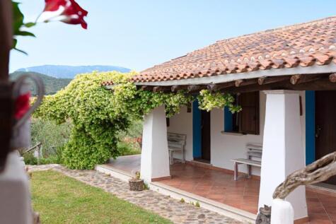 Property Image 35