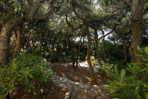 Property Image 26