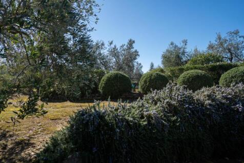 Property Image 58
