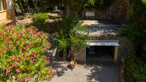 Property Image 23