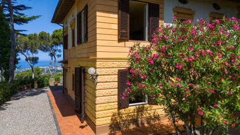 Property Image 57