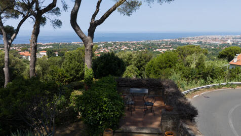 Property Image 61