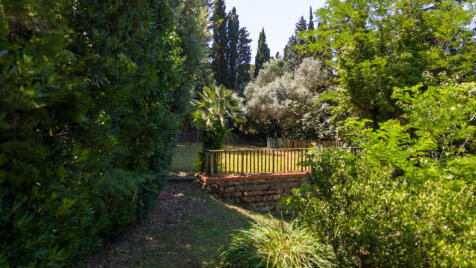 Property Image 64