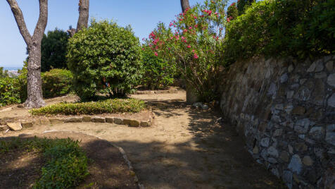 Property Image 69