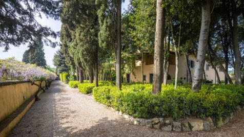 Property Image 53