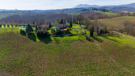 Property Image 38