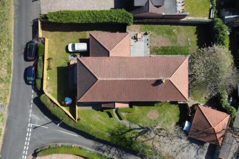 Birds eye