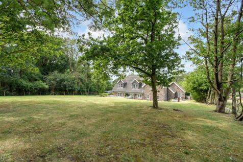 Property Image 39