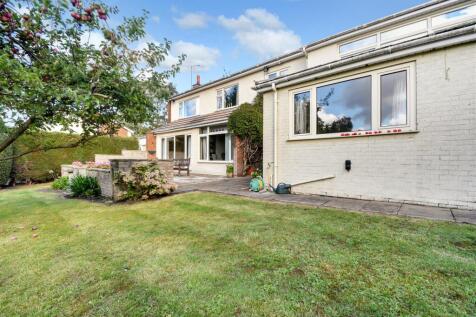 Property Image 38