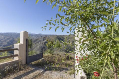 Property Image 29