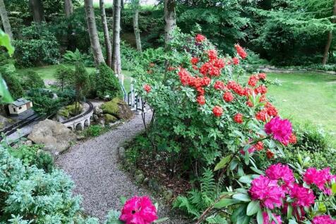 Property Image 54