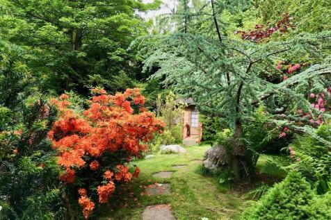 Property Image 57