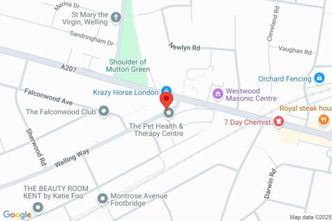 Google Maps Image